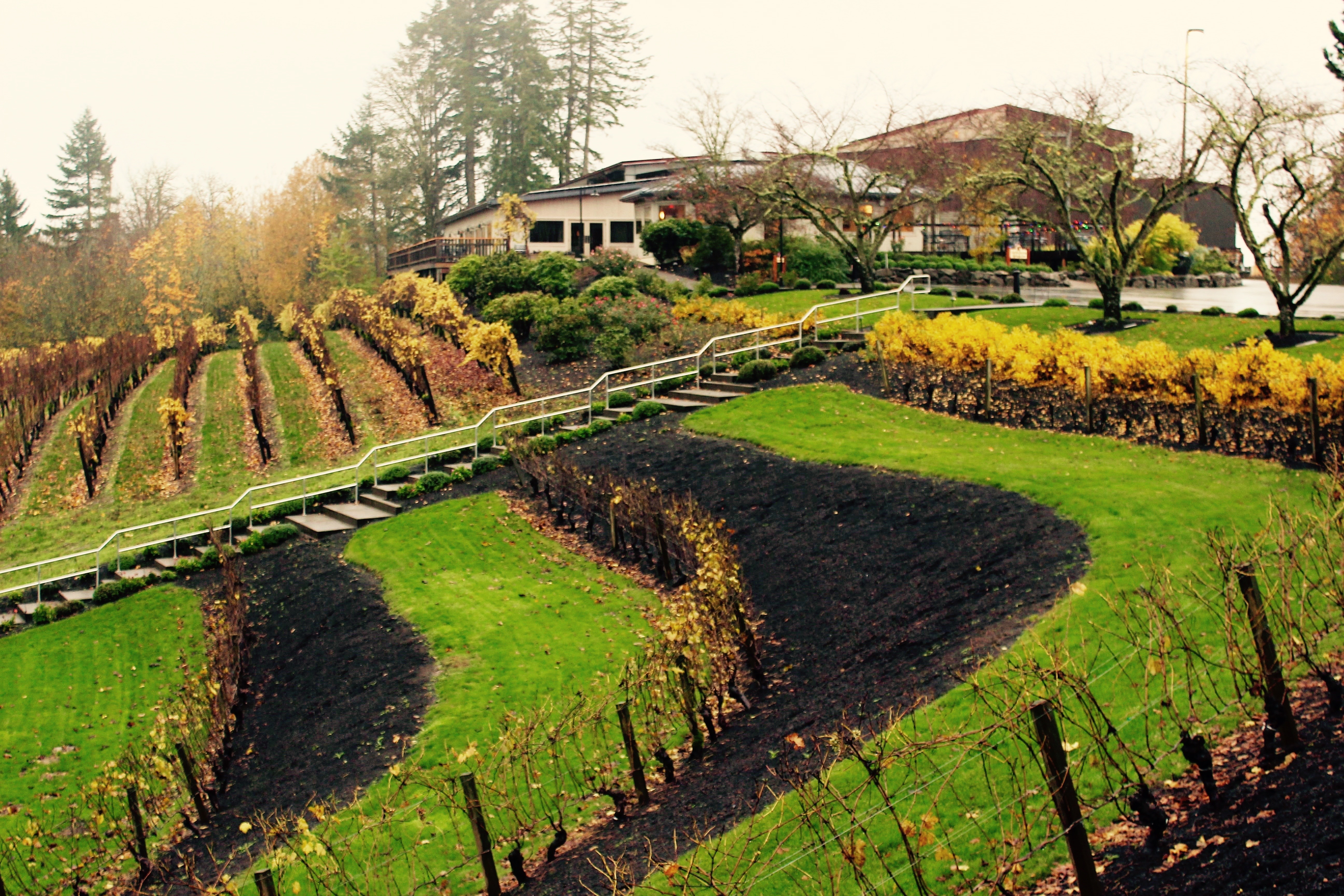 portland oregon winery tours