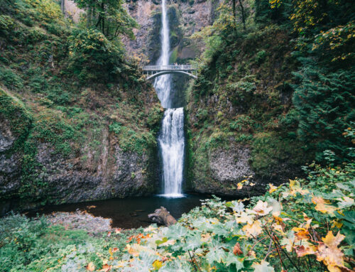 Multnomah Falls & Gorge Waterfalls Tour